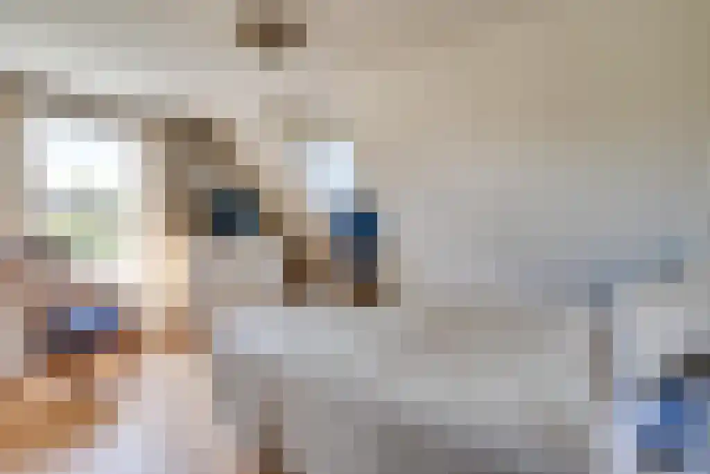 Van den Elsenstraat 31 Diessen thumbnail 20