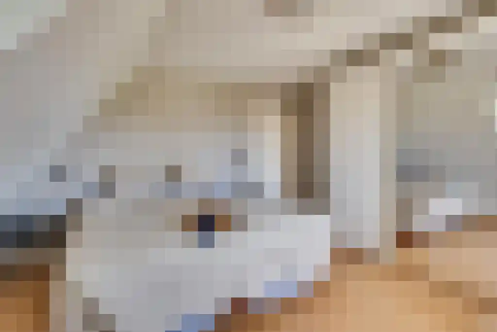 Van den Elsenstraat 31 Diessen thumbnail 21