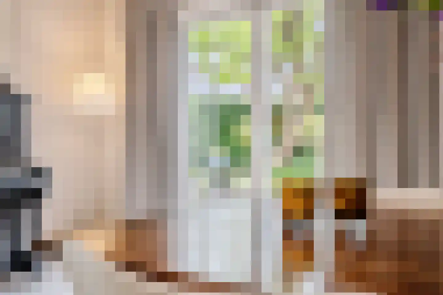 Van den Elsenstraat 31 Diessen thumbnail 22