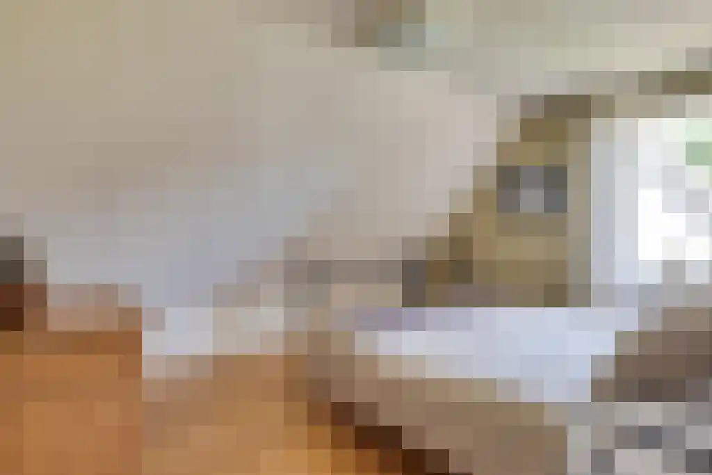 Van den Elsenstraat 31 Diessen thumbnail 25