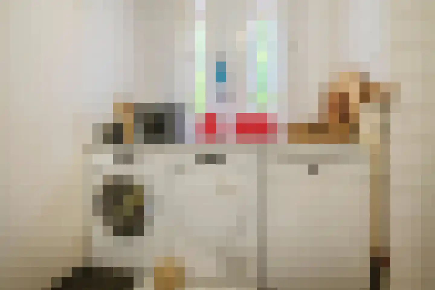 Van den Elsenstraat 31 Diessen thumbnail 26