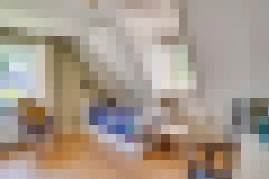 Van den Elsenstraat 31 Diessen thumbnail 26