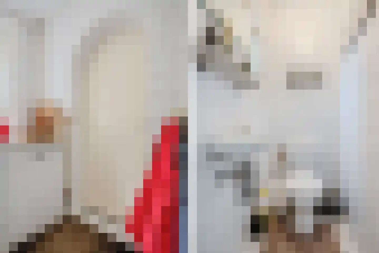 Van den Elsenstraat 31 Diessen thumbnail 27