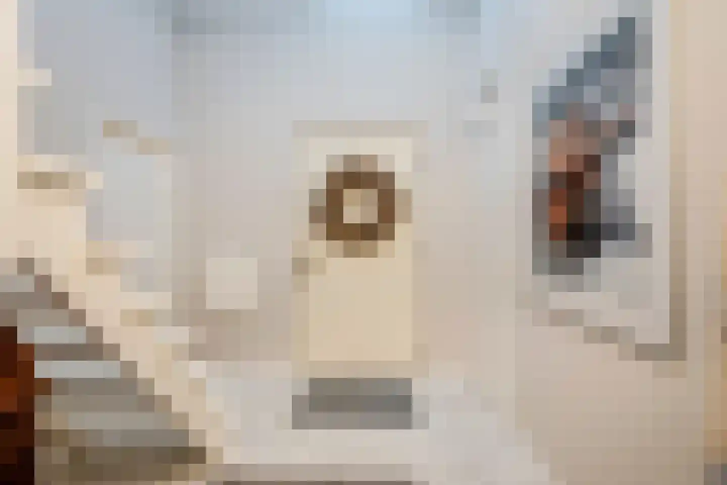 Van den Elsenstraat 31 Diessen thumbnail 28