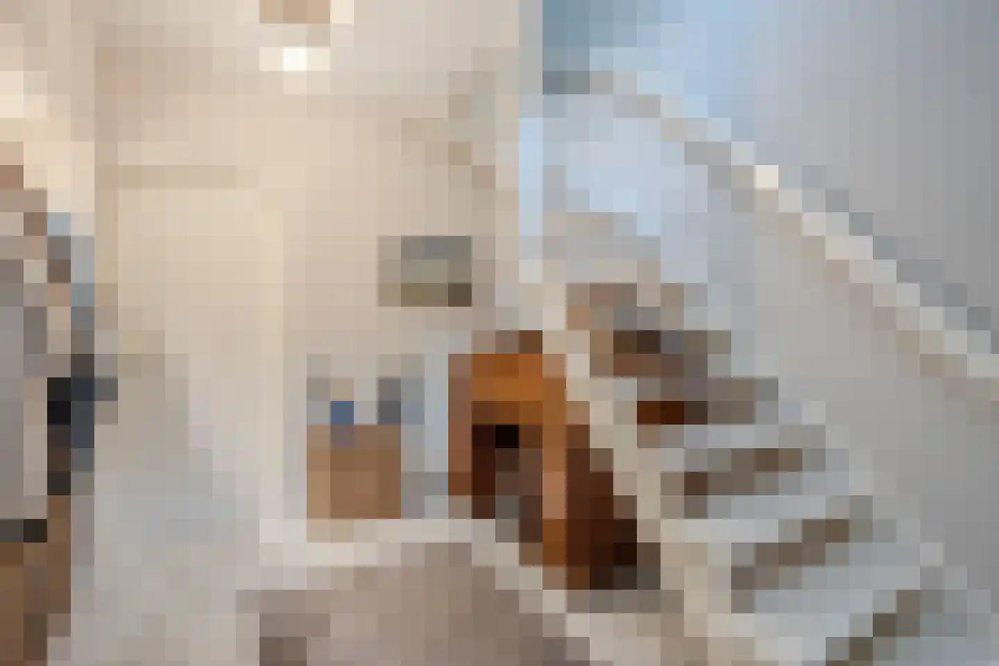 Van den Elsenstraat 31 Diessen thumbnail 29
