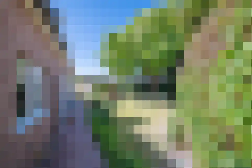 Van den Elsenstraat 31 Diessen thumbnail 29