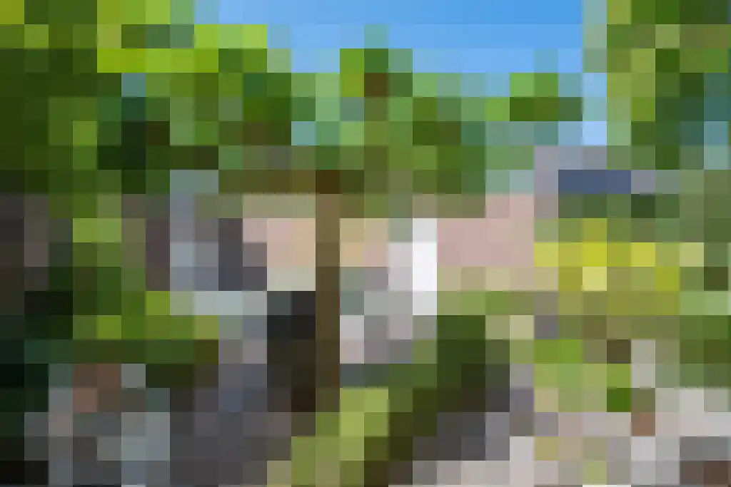 Van den Elsenstraat 31 Diessen thumbnail 31