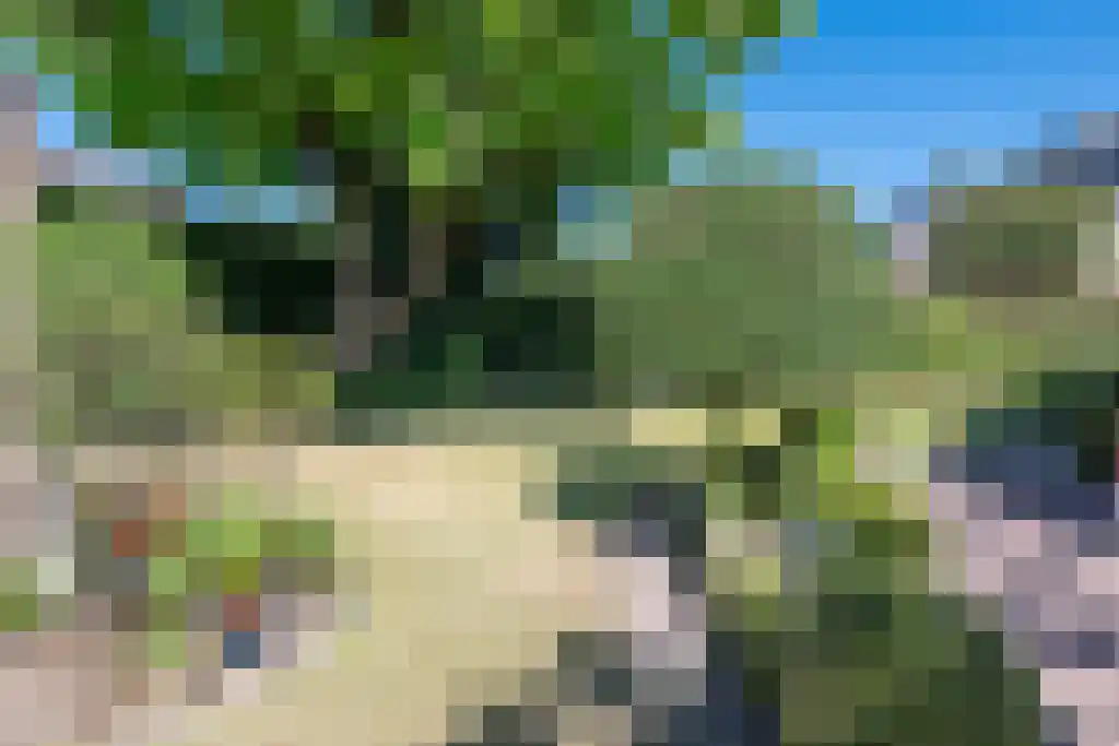 Van den Elsenstraat 31 Diessen thumbnail 33