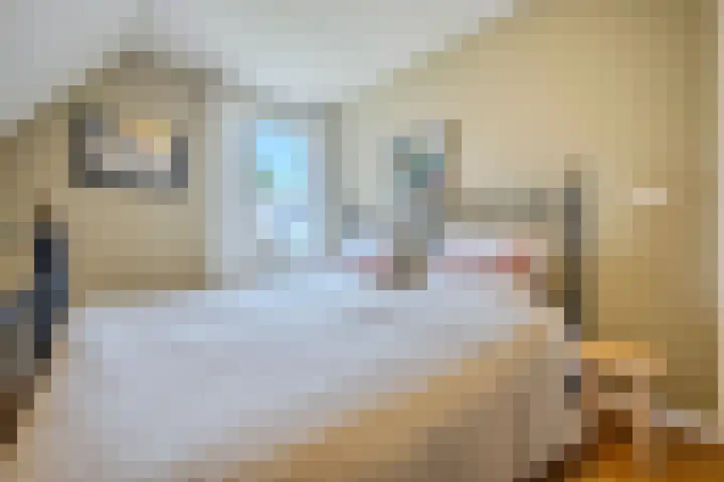 Van den Elsenstraat 31 Diessen thumbnail 39