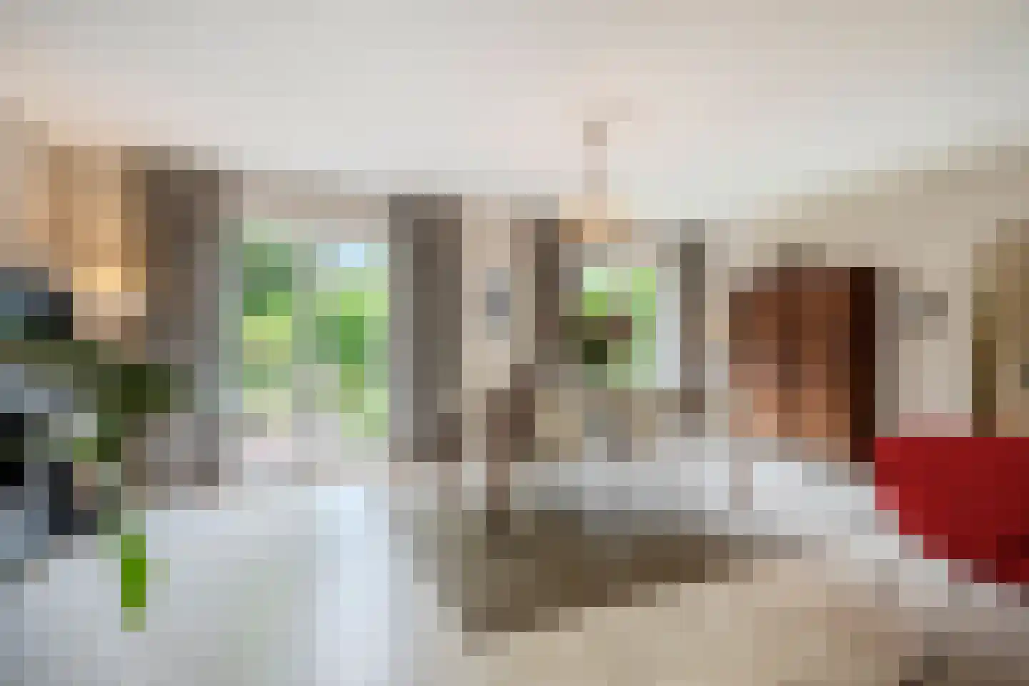 Van den Elsenstraat 31 Diessen thumbnail 4