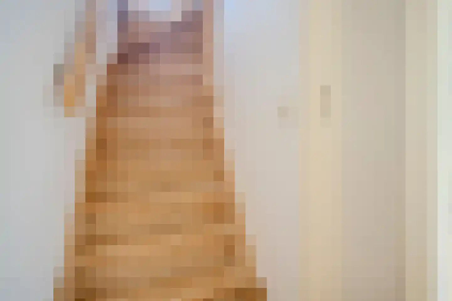 Van den Elsenstraat 31 Diessen thumbnail 42