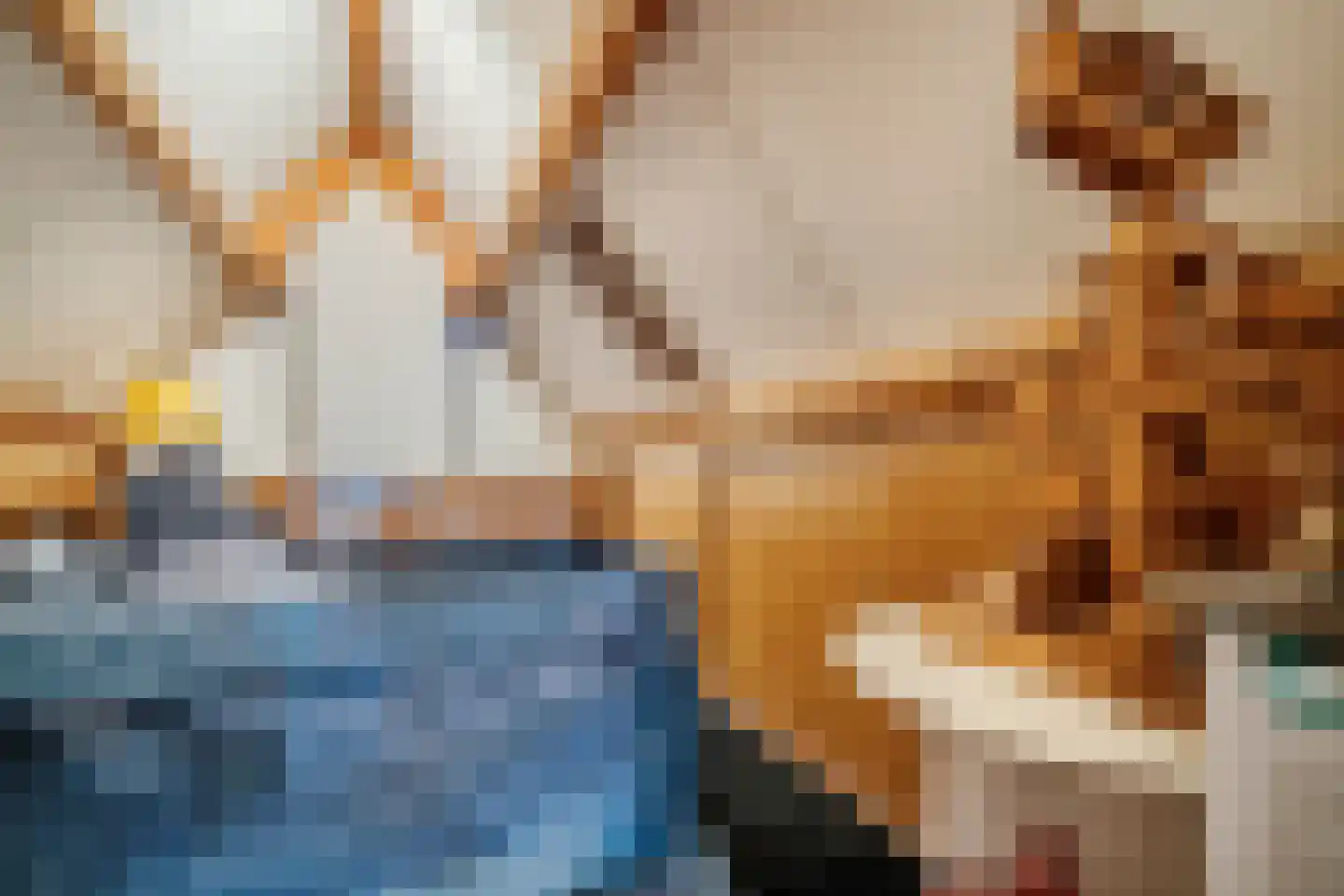 Van den Elsenstraat 31 Diessen thumbnail 45