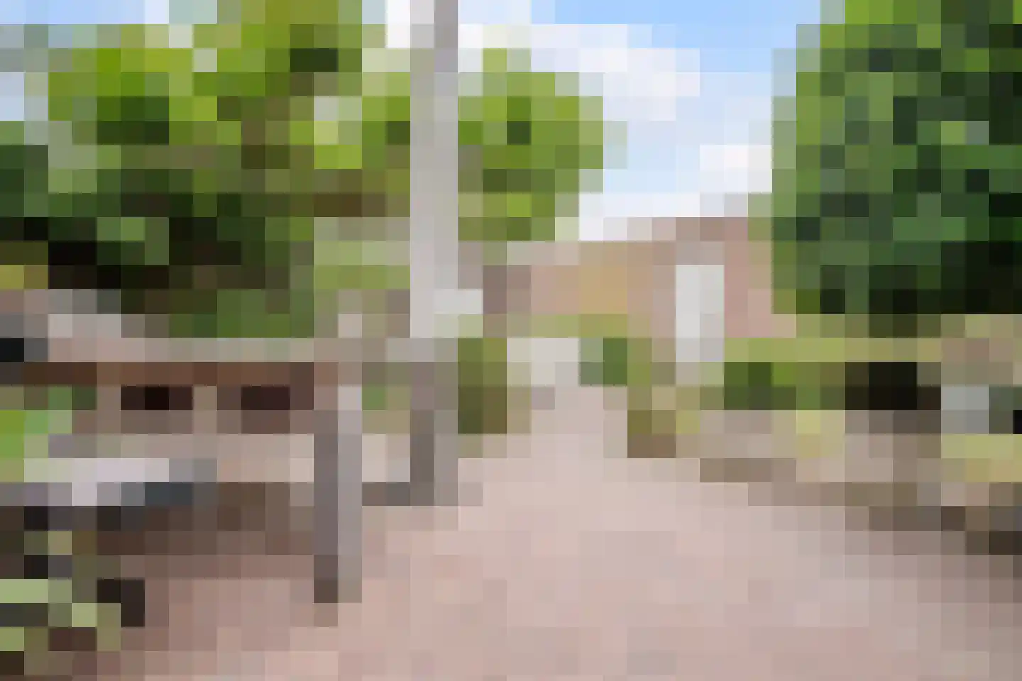 Van den Elsenstraat 31 Diessen thumbnail 46
