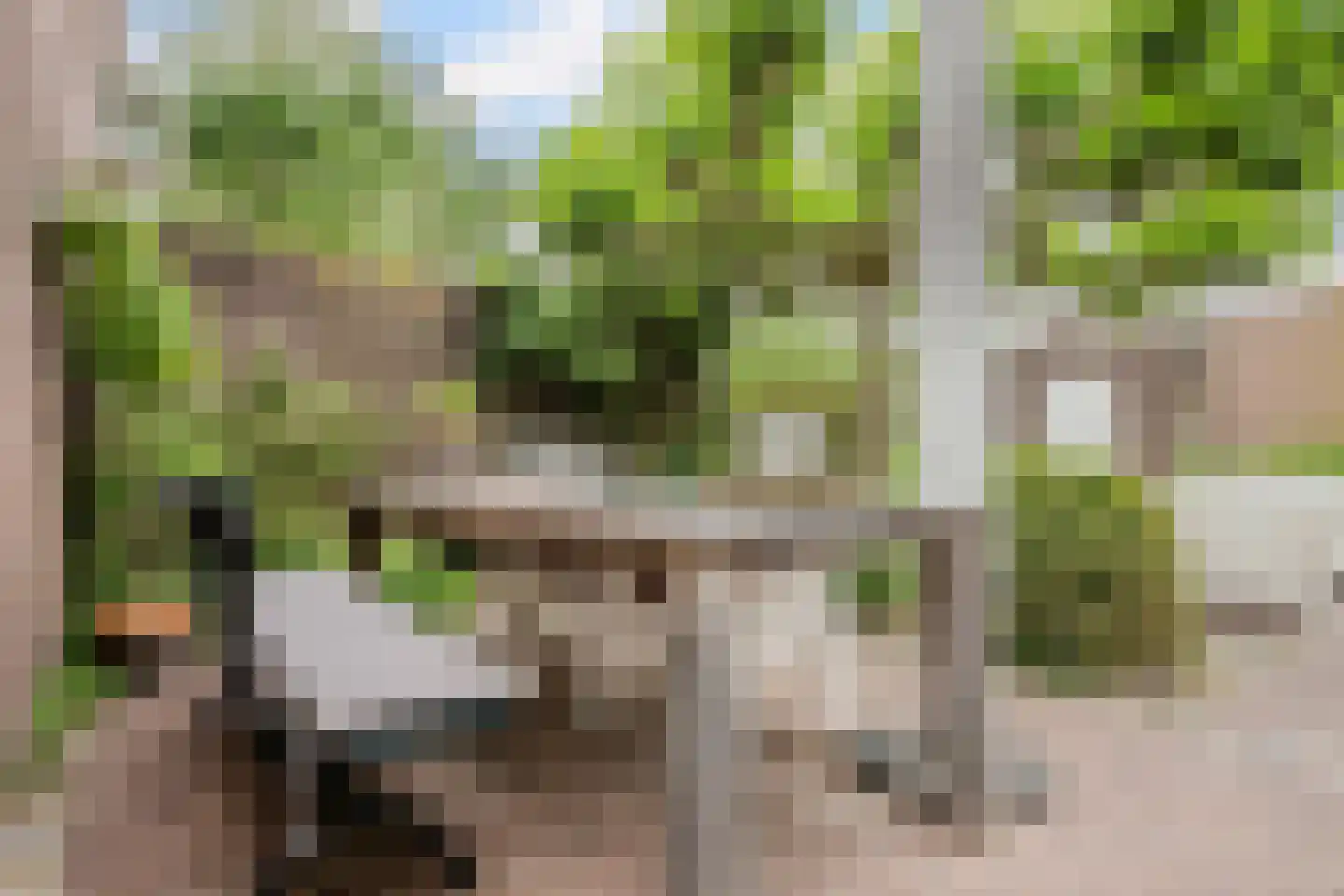 Van den Elsenstraat 31 Diessen thumbnail 47