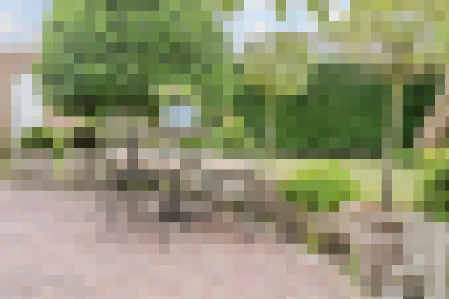 Van den Elsenstraat 31 Diessen thumbnail 48