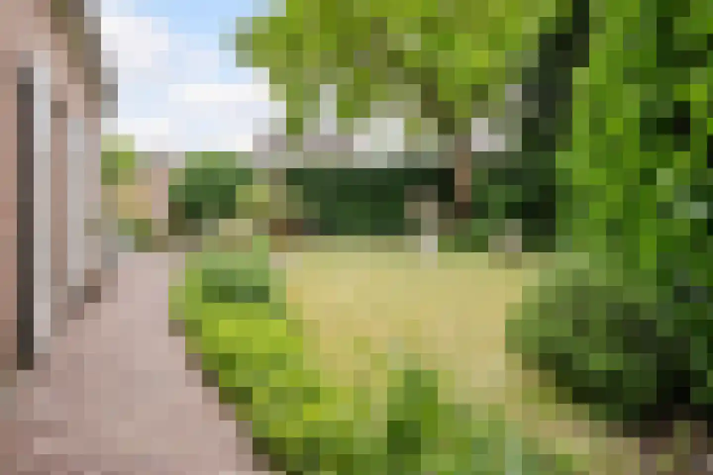 Van den Elsenstraat 31 Diessen thumbnail 49