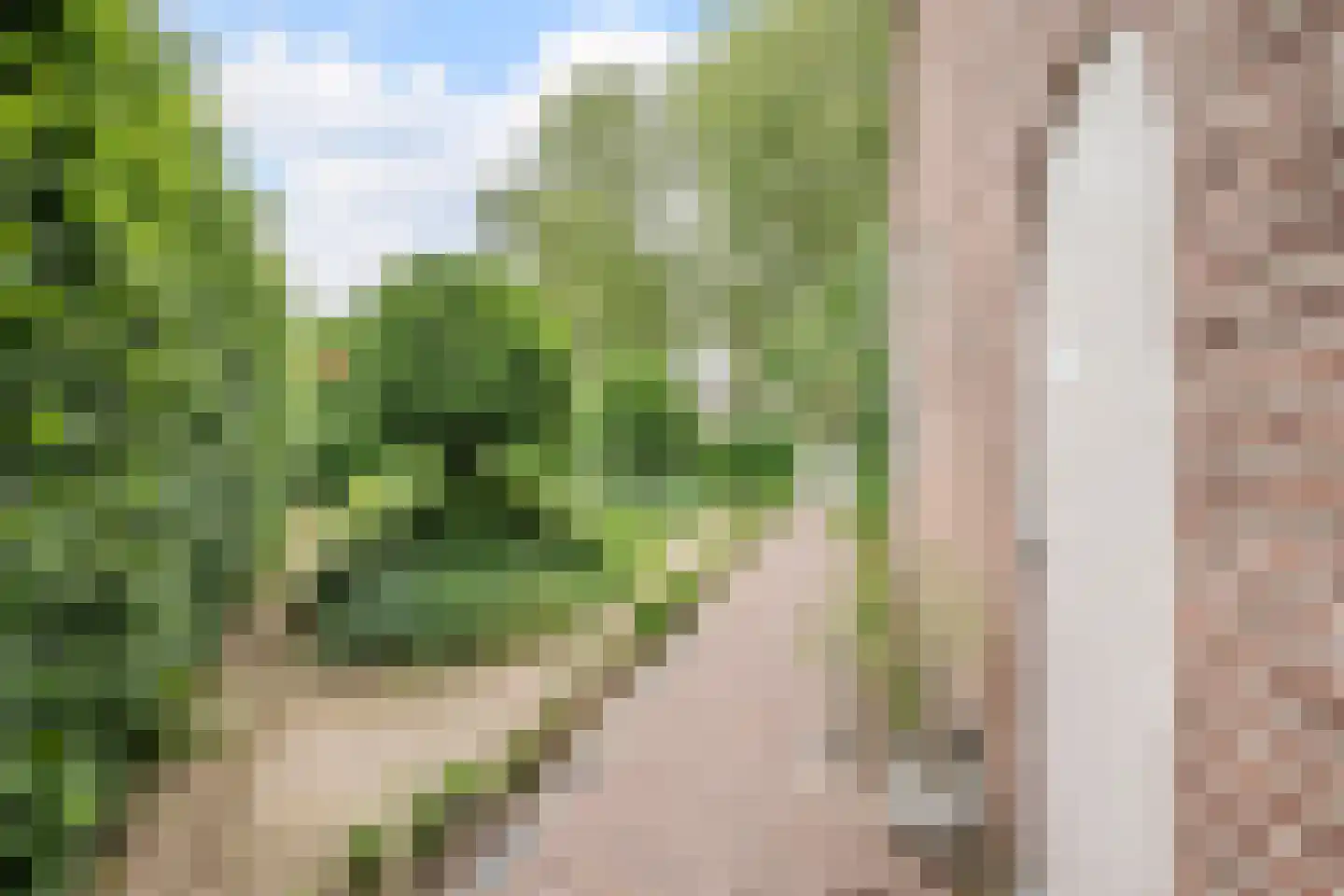 Van den Elsenstraat 31 Diessen thumbnail 51