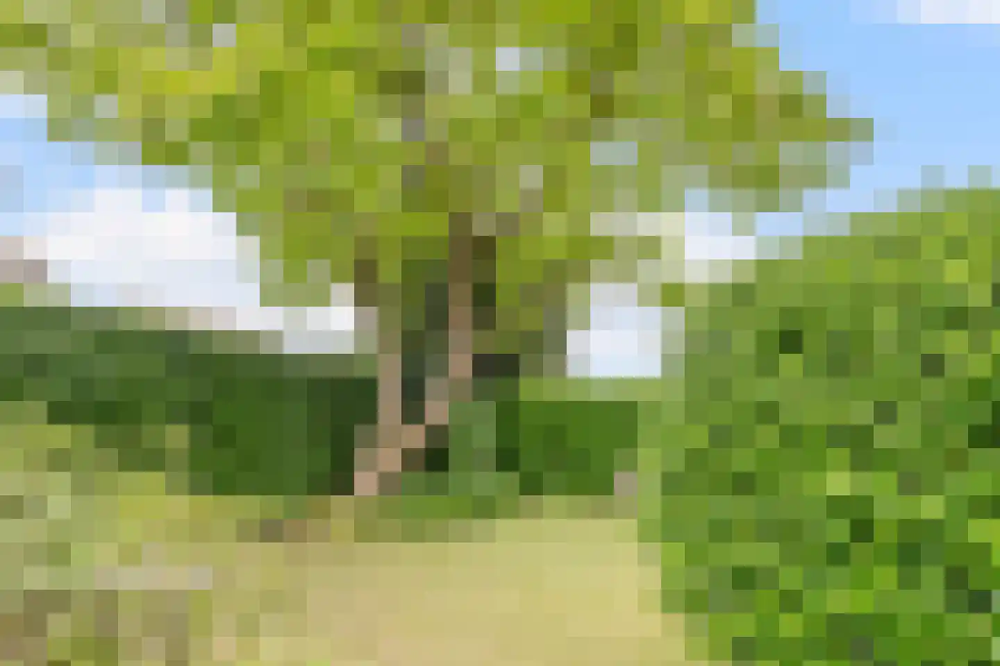 Van den Elsenstraat 31 Diessen thumbnail 52