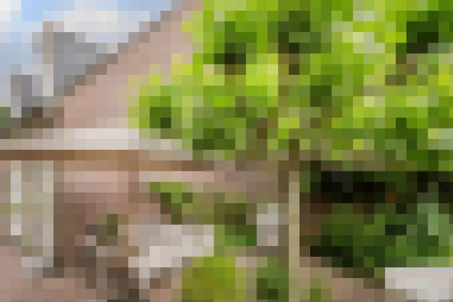 Van den Elsenstraat 31 Diessen thumbnail 53
