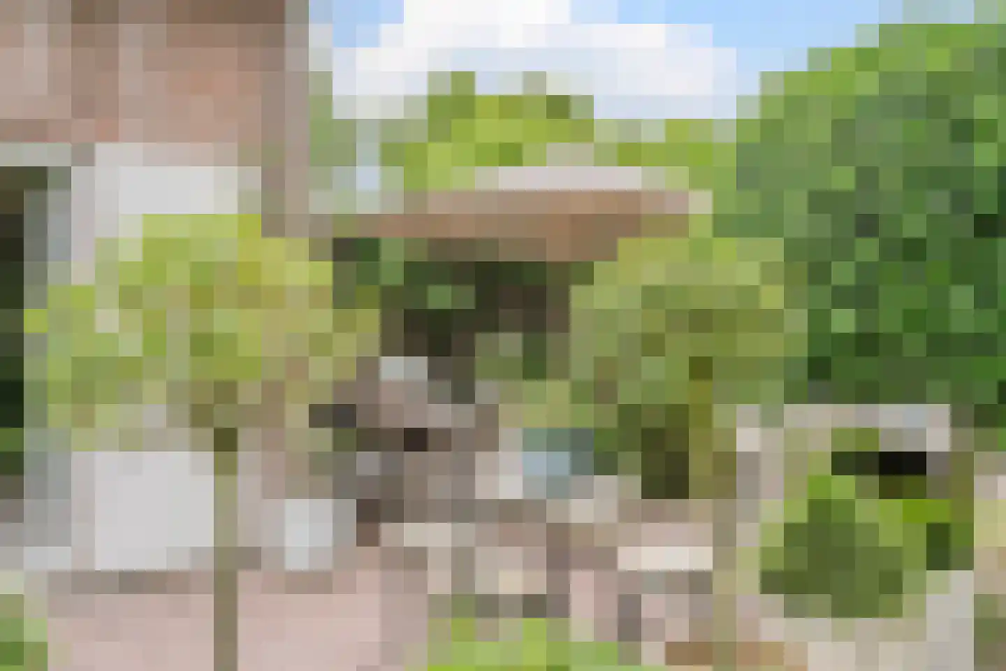 Van den Elsenstraat 31 Diessen thumbnail 57