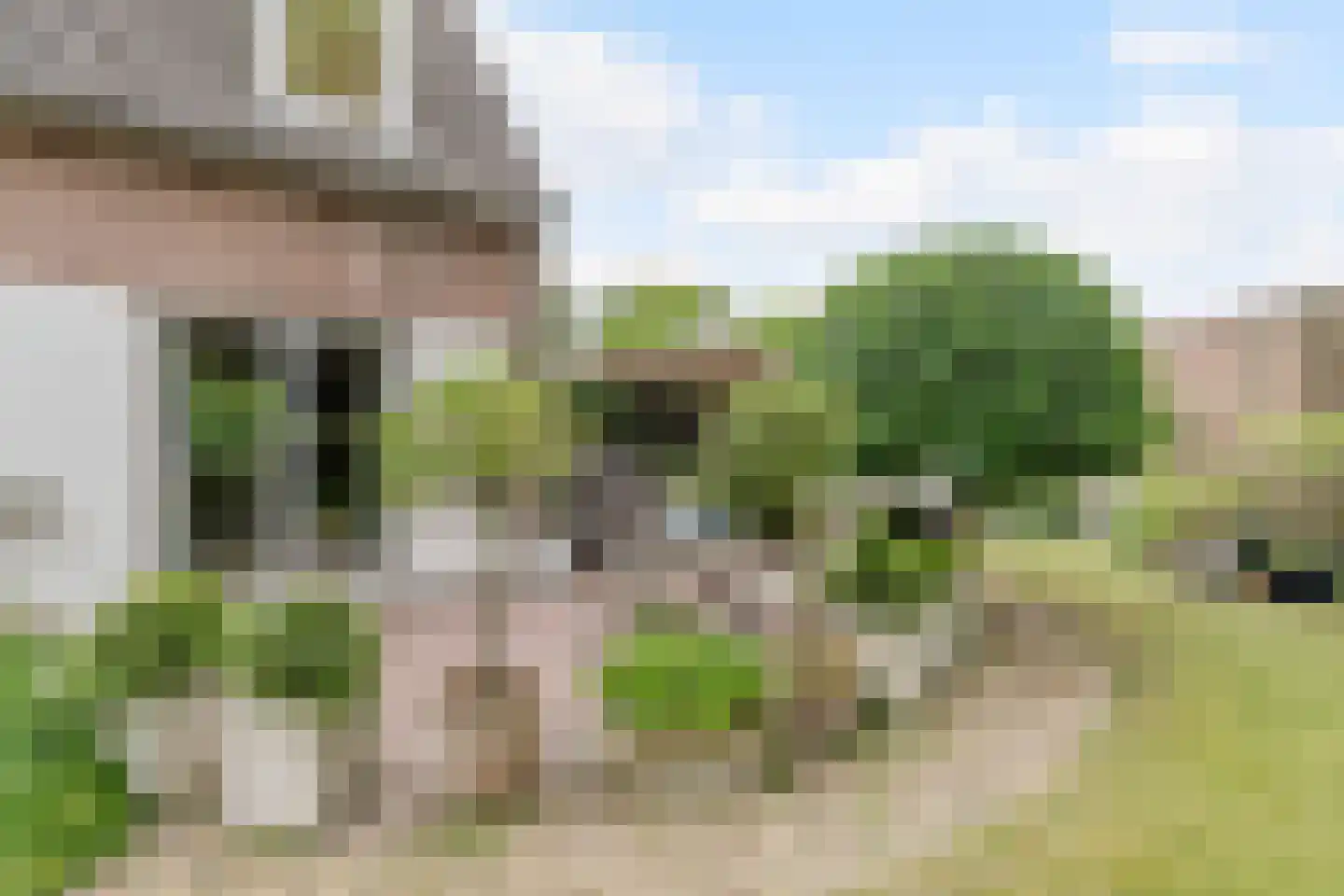 Van den Elsenstraat 31 Diessen thumbnail 58