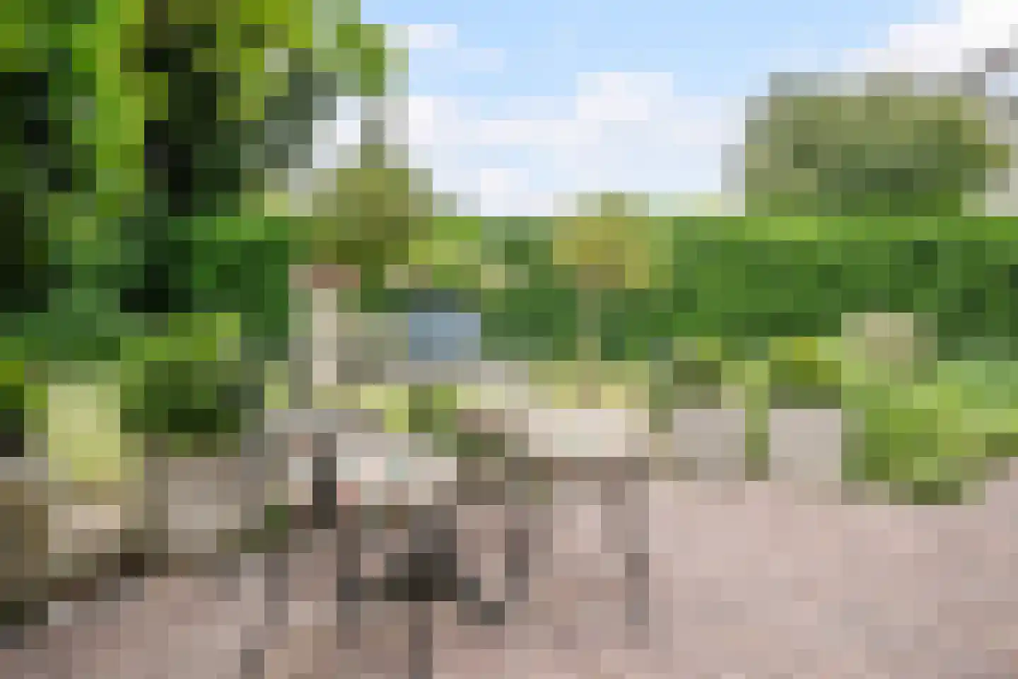 Van den Elsenstraat 31 Diessen thumbnail 60