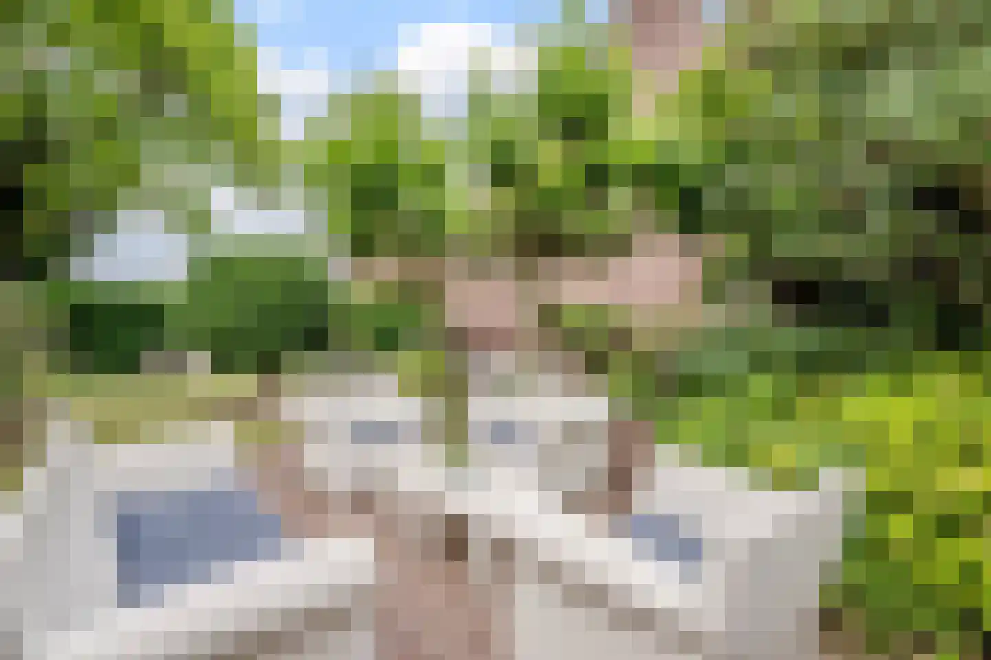 Van den Elsenstraat 31 Diessen thumbnail 63