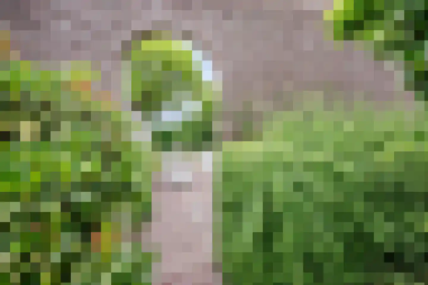 Van den Elsenstraat 31 Diessen thumbnail 64