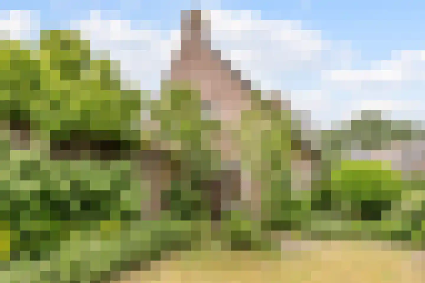Van den Elsenstraat 31 Diessen thumbnail 65