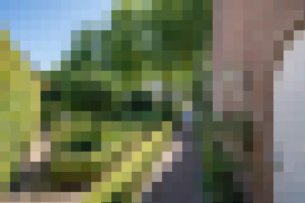 Van den Elsenstraat 31 Diessen thumbnail 9