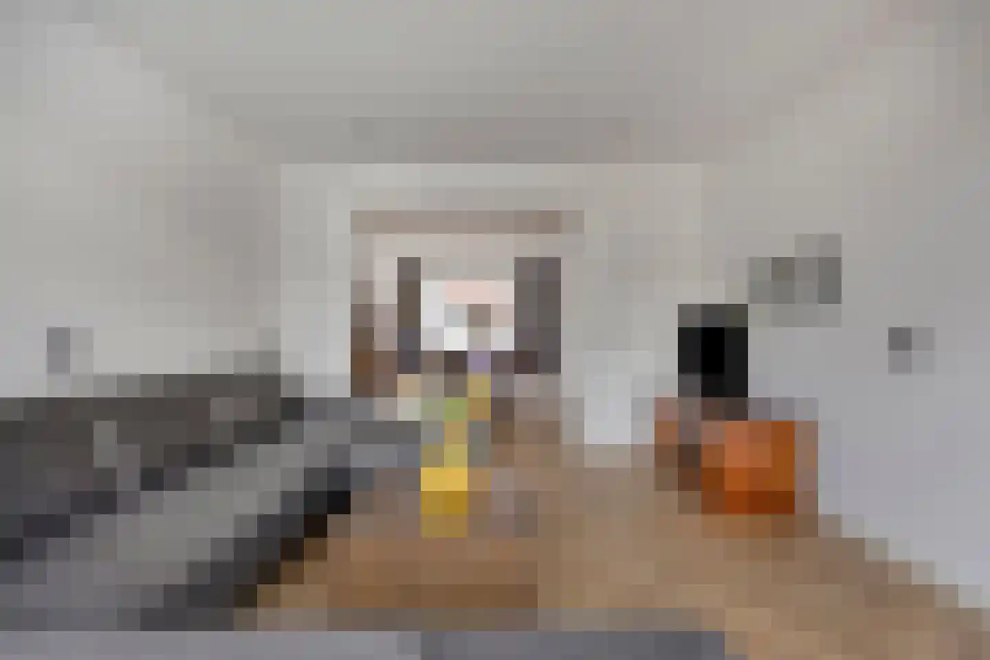 Van den Elsenstraat 8 Etten-Leur thumbnail 10