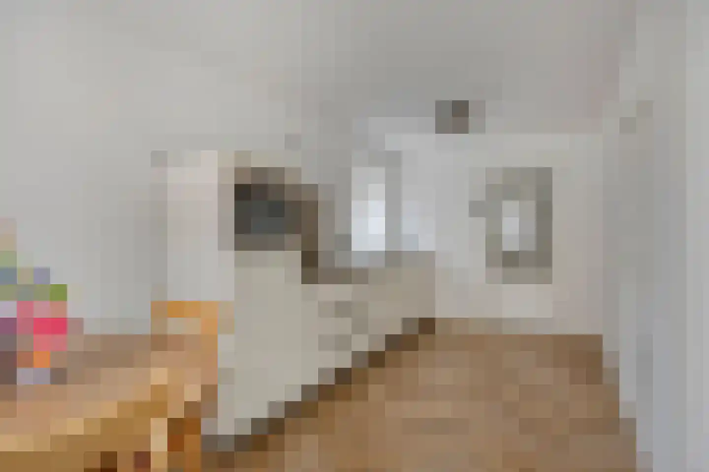 Van den Elsenstraat 8 Etten-Leur thumbnail 13