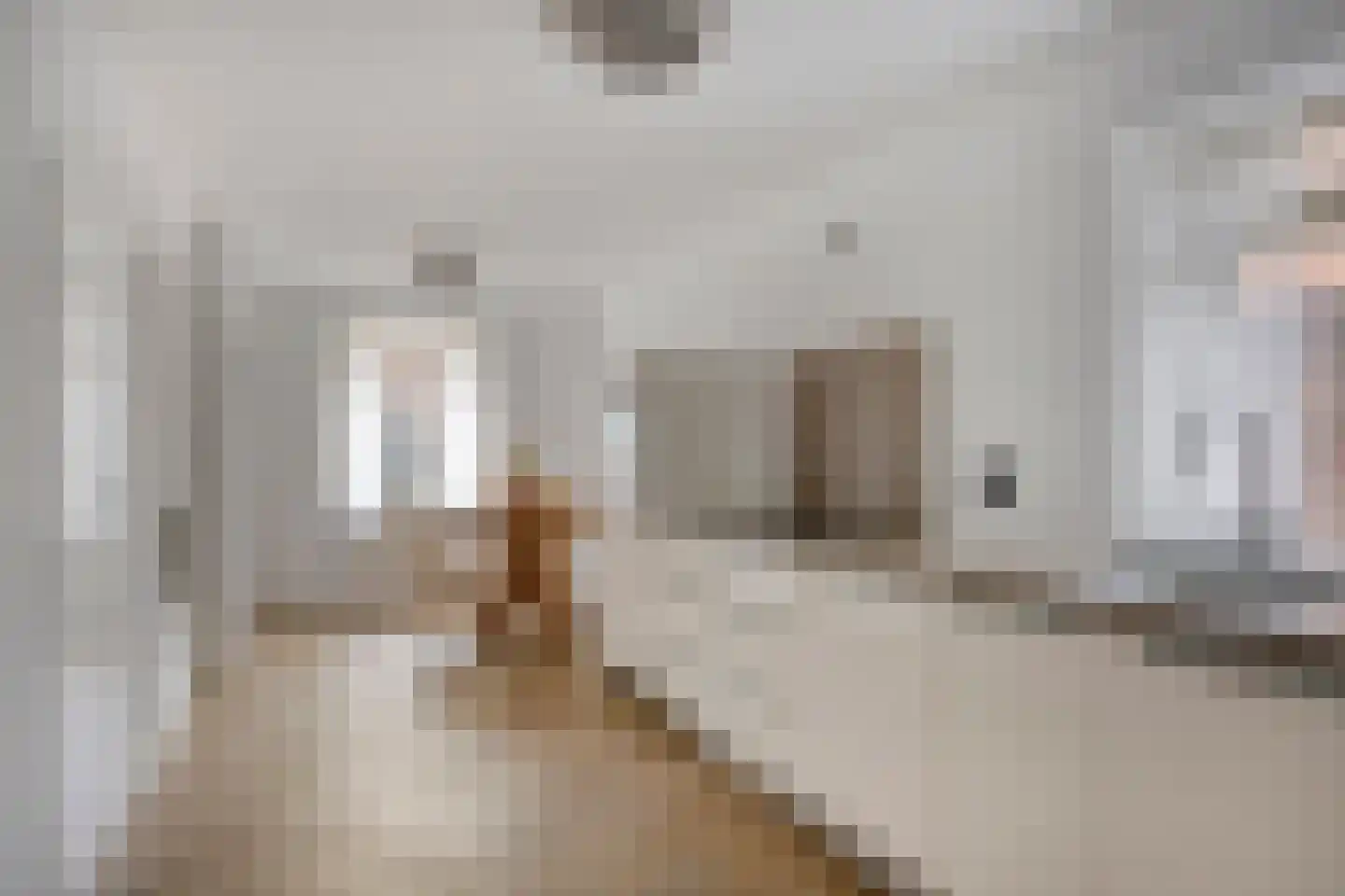 Van den Elsenstraat 8 Etten-Leur thumbnail 14