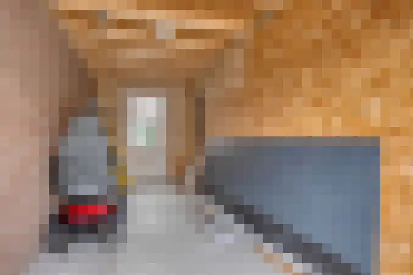 Van den Elsenstraat 8 Etten-Leur thumbnail 34