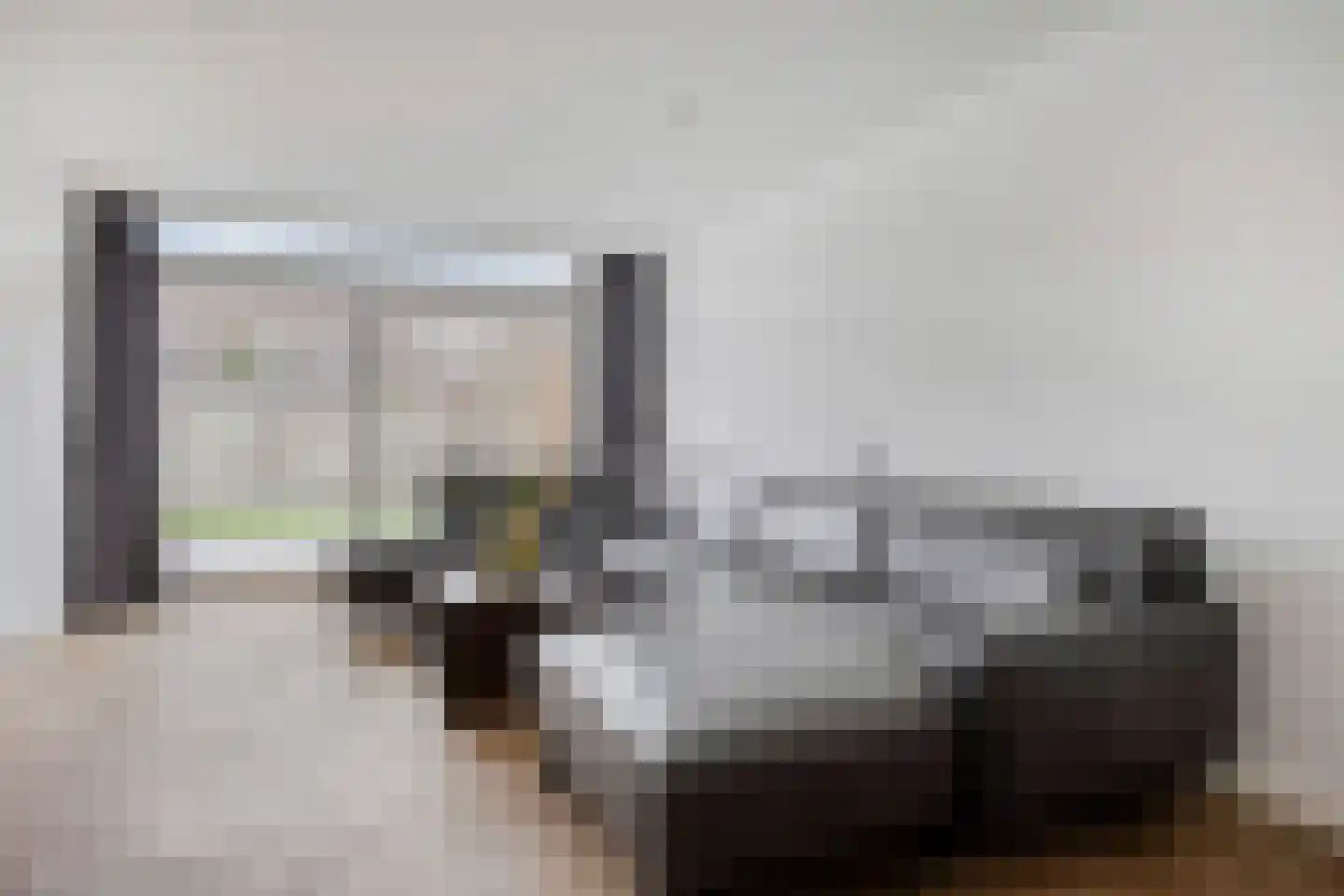 Van den Elsenstraat 8 Etten-Leur thumbnail 9