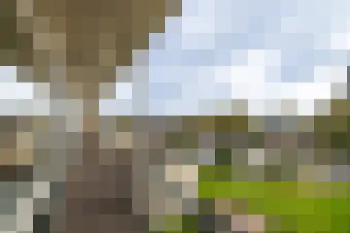 Van den Endelaan 109 Hillegom thumbnail 15