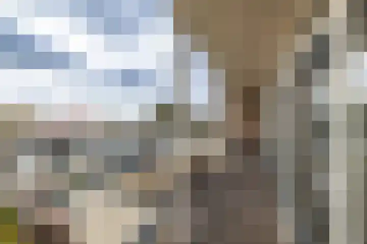 Van den Endelaan 109 Hillegom thumbnail 16
