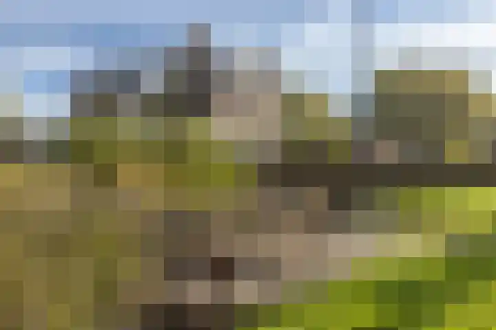 Van den Endelaan 109 Hillegom thumbnail 27