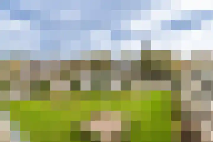 Van den Endelaan 109 Hillegom thumbnail 28