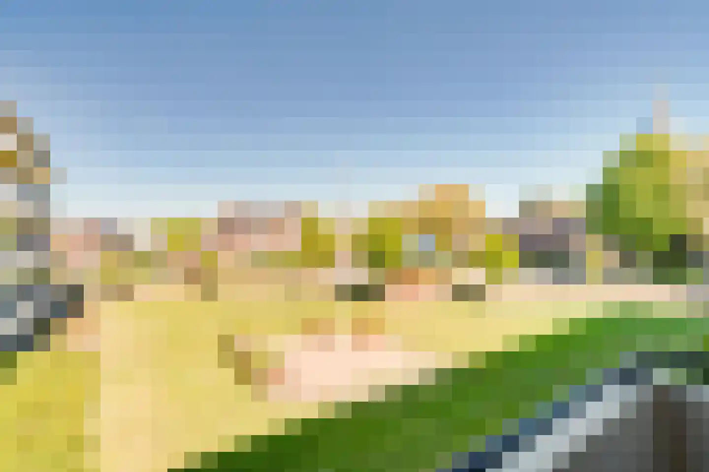 Van den Endelaan 115 Hillegom thumbnail 12