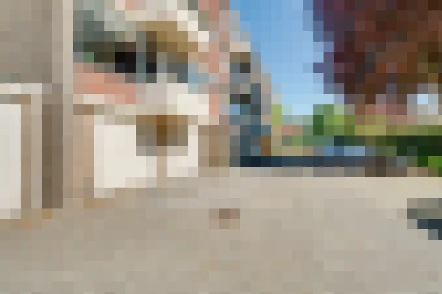 Van den Endelaan 115 Hillegom thumbnail 35