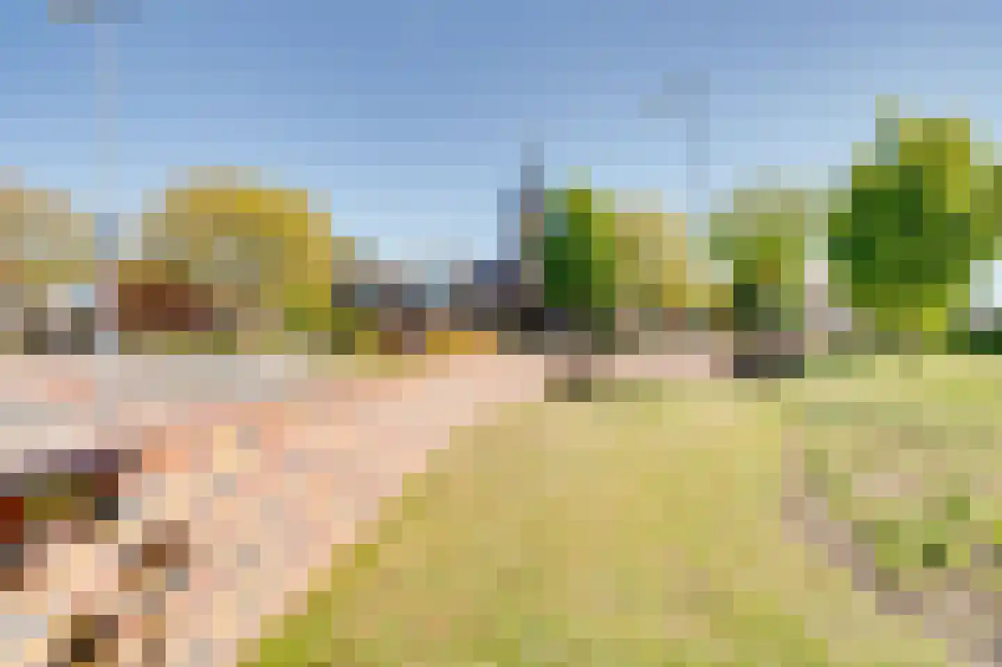 Van den Endelaan 115 Hillegom thumbnail 5