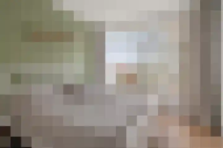 Van den Endelaan 117 Hillegom thumbnail 13