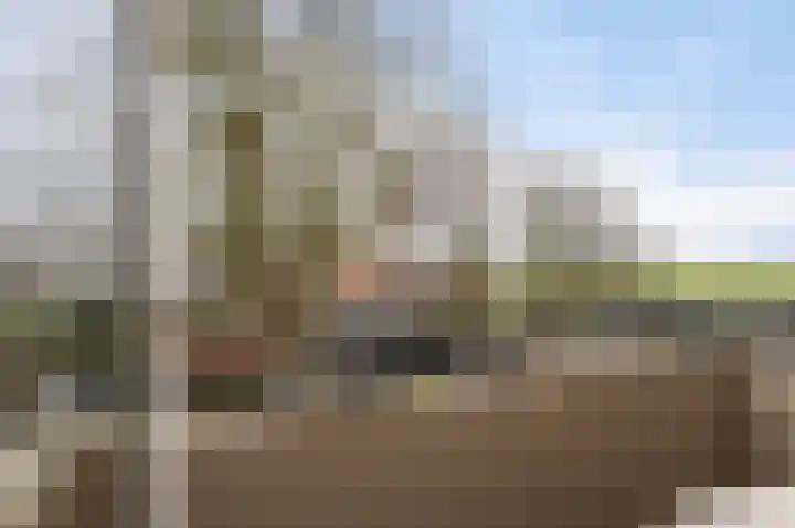 Van den Endelaan 117 Hillegom thumbnail 17