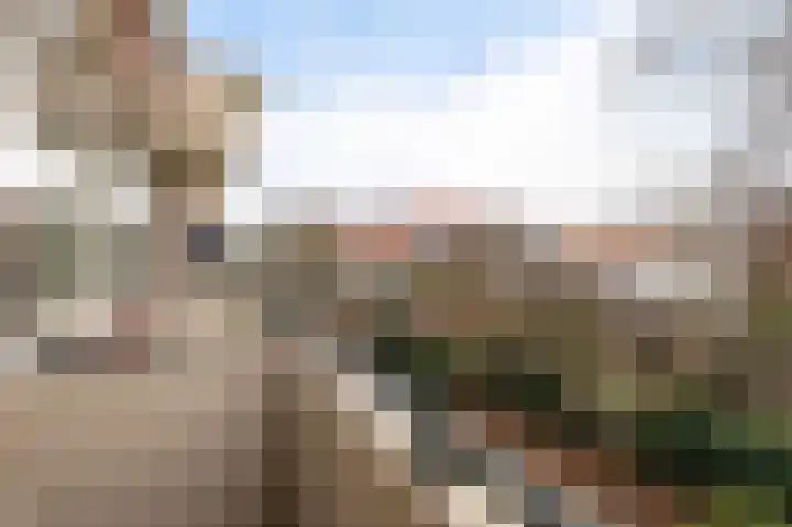 Van den Endelaan 117 Hillegom thumbnail 19