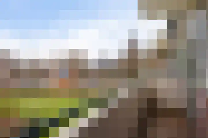 Van den Endelaan 117 Hillegom thumbnail 22