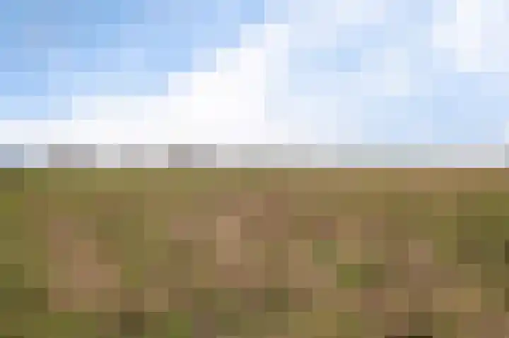 Van den Endelaan 117 Hillegom thumbnail 31