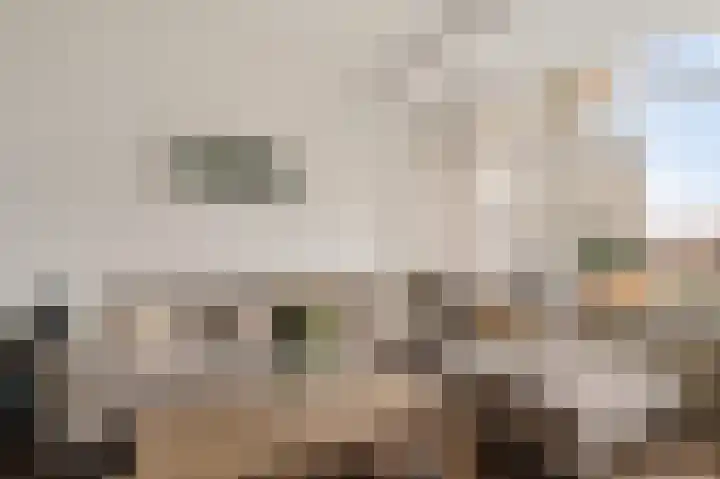 Van den Endelaan 117 Hillegom thumbnail 4