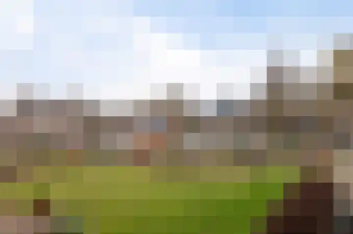 Van den Endelaan 117 Hillegom thumbnail 5