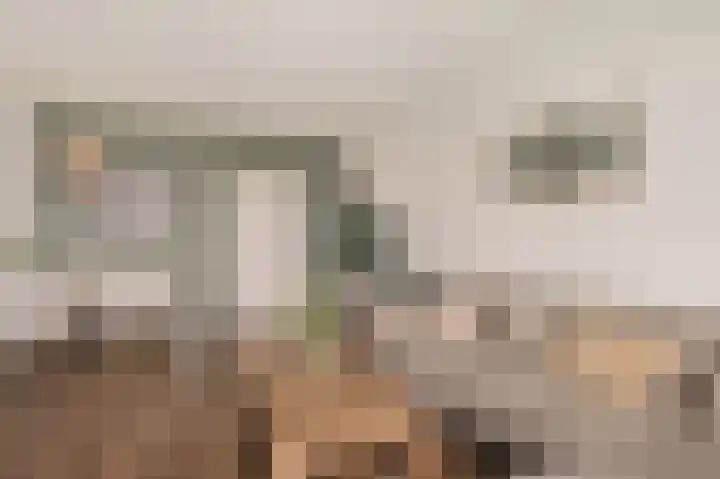 Van den Endelaan 117 Hillegom thumbnail 7